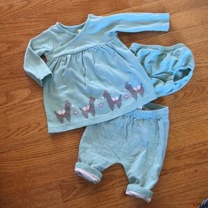 Tea Collection 3 piece Set - 3-6 Months